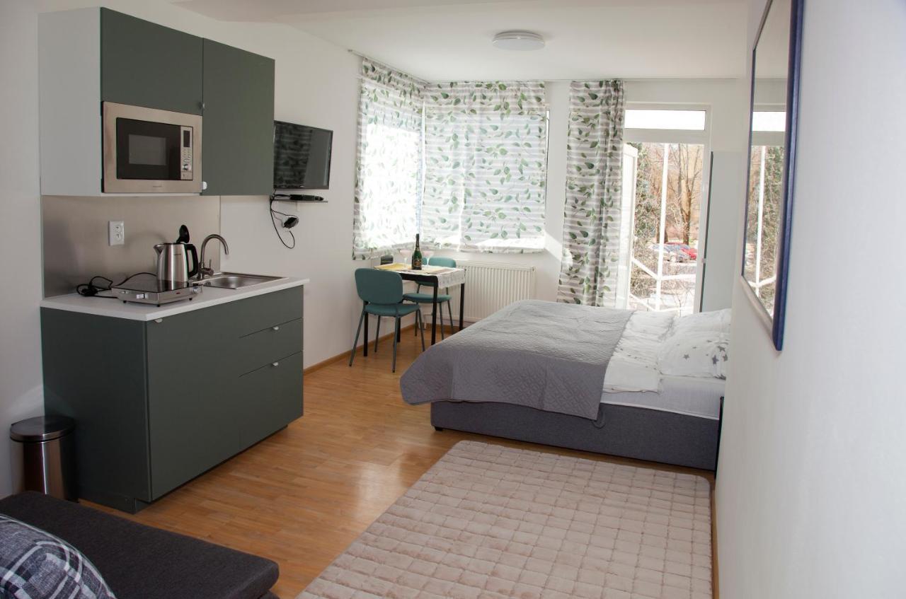 Apartman U Doktora Banska Bystrica Bagian luar foto