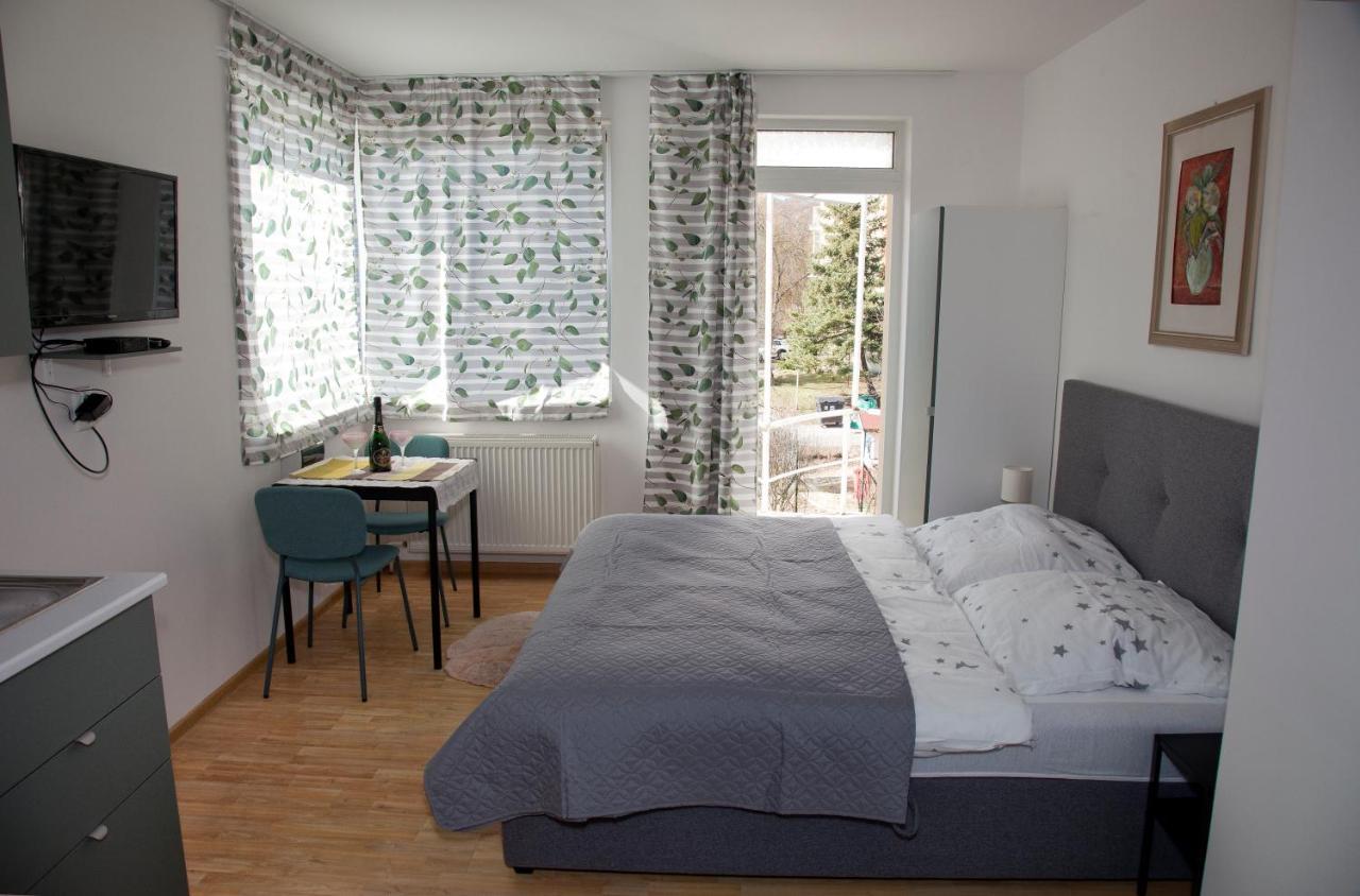 Apartman U Doktora Banska Bystrica Bagian luar foto