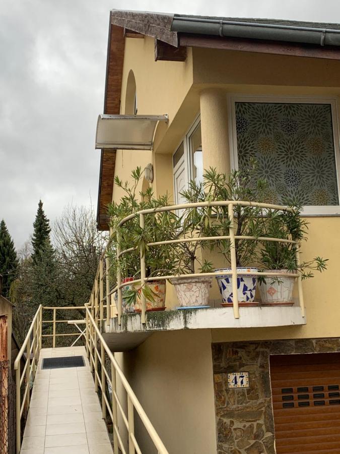 Apartman U Doktora Banska Bystrica Bagian luar foto